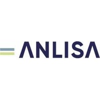 Anlisa logo - Similar company to Bothive