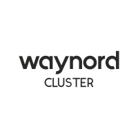 waynord logo - Similar company to Devtouch! Lithuania