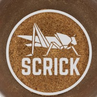 SCRICK logo - Similar company to Sign Bridge