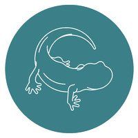 Newt Design logo - Similar company to Experiencis