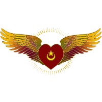 SUFI RUHANIAT INTERNATIONAL logo - Similar company to Al-Karkari Institute For Sufi Studies