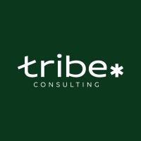 Tribe Consulting logo - Similar company to Tribe Connect