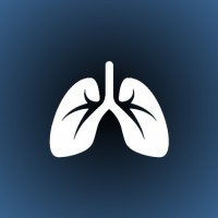Lailo logo - Similar company to Locksphere
