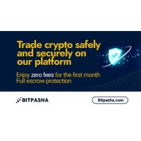 Bitpasha Exchange logo - Similar company to Iotscape