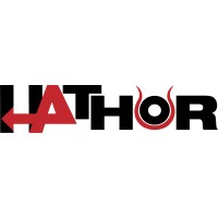 HATHOR DS logo - Similar company to Digilab