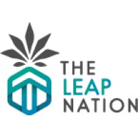 The Leap Nation logo - Similar company to Virtuatell Ltd