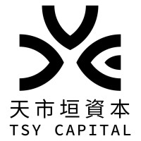 TSY Capital logo - Similar company to Newbund