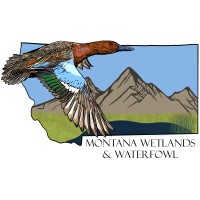 Montana Wetlands And Waterfowl