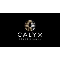 Calyx Professional logo - Similar company to Luvyh