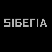 Proyecto Siberia logo - Similar company to Lynks Global Strategies