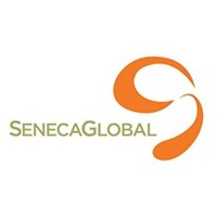Talents in Technology - SenecaGlobal IT Services logo - Similar company to Helix Technology Solutions Private Limited