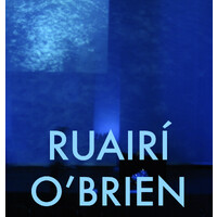 RUAIRÍ O'BRIEN. LIGHTING DESIGNERS + ARCHITECTS logo - Similar company to Vizpark