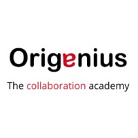 Origanius by Piet Verhoeve logo - Similar company to Prof-Projects