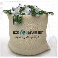 ezinvest logo - Similar company to Trade Wolves