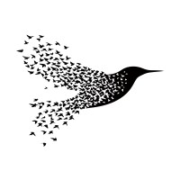 Starlings Entertainment Group logo - Similar company to Psyntient