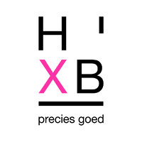 HxB.nl logo - Similar company to Dataplots