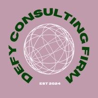 Defy Consulting Firm logo - Similar company to Seafarer Studio