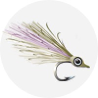 OLE FLORIDA FLY SHOP, INC. logo - Similar company to Golden Fly Shop