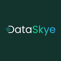 DataSkye logo - Similar company to Synaq