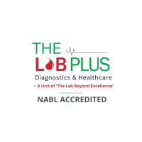 THE LAB PLUS logo - Similar company to Labworld Plus