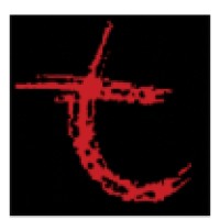 Troeux R&I LLC logo - email format related to Big Time Recovery