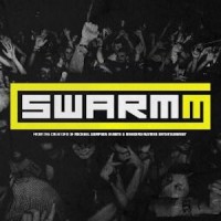 Swarmm Events logo - Similar company to Style Up Group ®