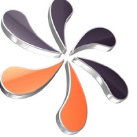 HCM Info Systems logo - Similar company to Ransitech Solutions