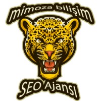 Mimoza Bilişim