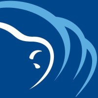 Visit Buffalo Niagara logo - Similar company to Buffalo Rising