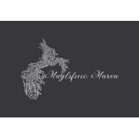 Maglificio Marea s.r.l. logo - Similar company to Zoneadslmobile