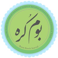 Boomkoreh (بوم کره) Journal logo - Similar company to Zhemun | ژمون