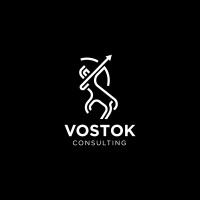 VOSTOK logo - Similar company to Wizeoo
