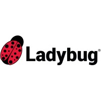 Ladybug Australia