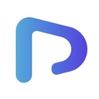 Palmplug logo - Similar company to Client Friendly - The Business Development Consultancy