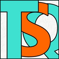 Toy Safety and Quality, Inc. logo - Similar company to Toy Bae
