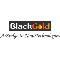 BlackGold Management Services (P) Ltd logo - Similar company to Bhanu Industries