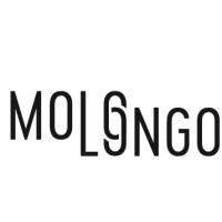 Molo Longo logo - Similar company to Spatium Nekretnine