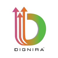 Dignira Marketing Pvt Ltd logo - Similar company to Ibridge Smart Solutions