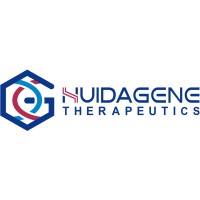 HuidaGene Therapeutics logo - Similar company to Dupmecp2