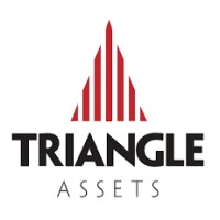 Triangle Assets logo - Similar company to Namra Nimish & Co. Llp