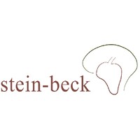 Stein-Beck