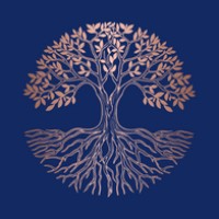 Nourish Functional Medicine logo - Similar company to Wellness Pharmacy Services