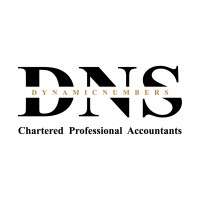 Dynamicnumbers Professional Corporation Chartered Accountants logo - Similar company to Expertax Financial Services Inc