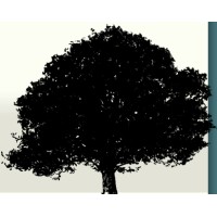 The Woodmont Group, Inc.