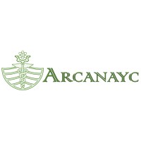 ARCANAYC SpA logo - Similar company to Iconsa S.A.