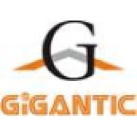 Gigantic Infotel Pvt Ltd logo - Similar company to Gigantic