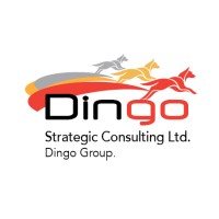 Dingo Strategic Consulting logo - Similar company to Bashan Bar-Ilan