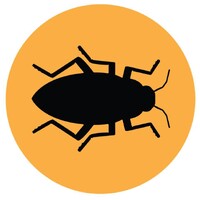 Samsa Film logo - Similar company to Datapunks