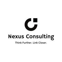 Nexus Consulting logo - Similar company to Datassure
