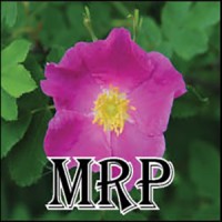 The McLeod River Post logo - Similar company to Datasphere Analytic